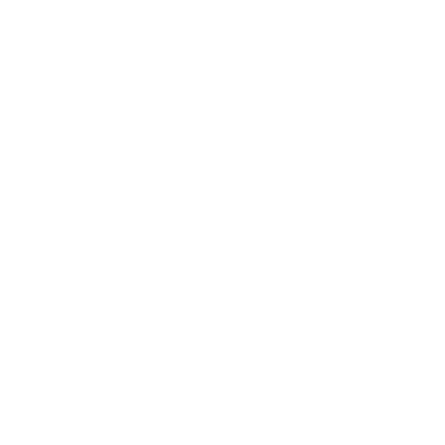 Fast Movers & Packers Logo